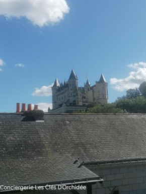 L'Atypique Saumurois